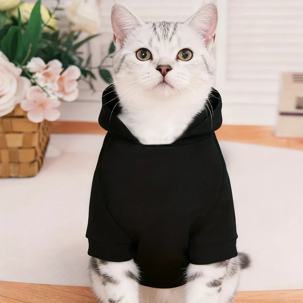 Cat Clothes