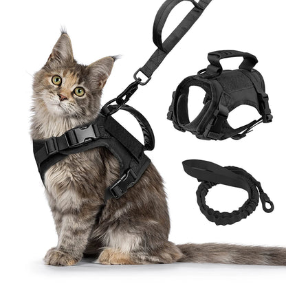 Cat Harness