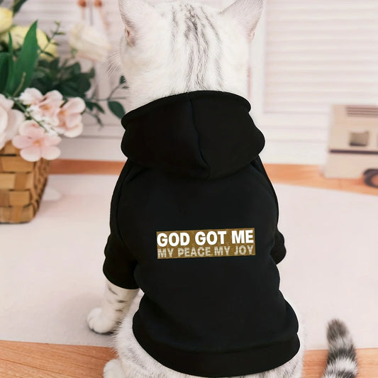 Pet Hoodie