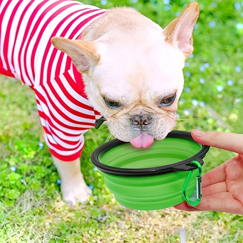 Collapsible Pet Food Bowl