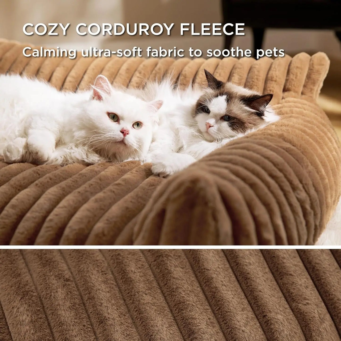 Fluffy Cat Sofa
