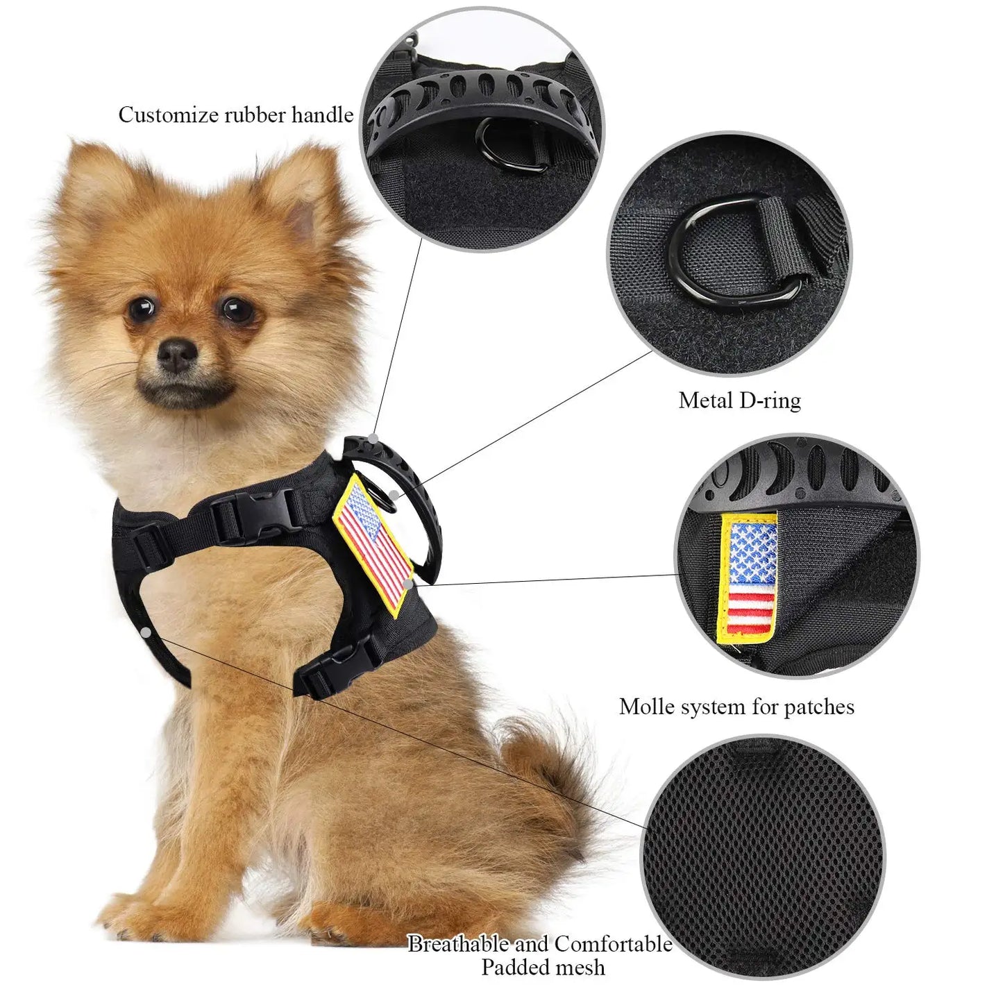 Puppy Harness Set