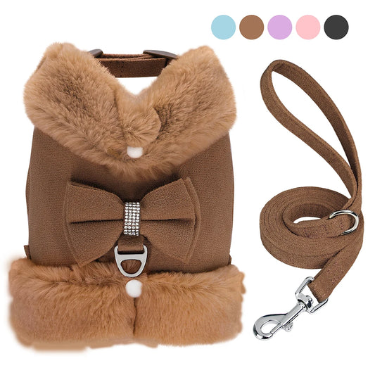 Warm Dog Vest & Leash Set