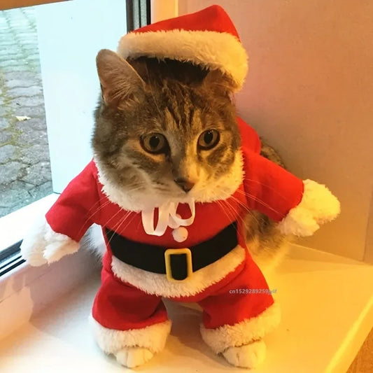 Pet Santa Costume