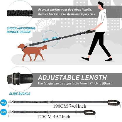 Reflective Elastic Dog Leash