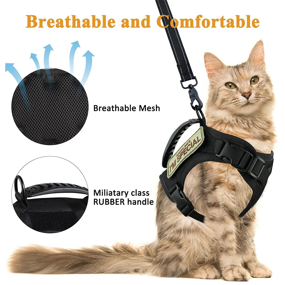 Cat Harness