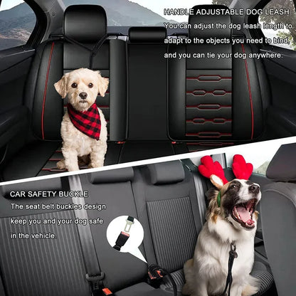 Reflective Elastic Dog Leash