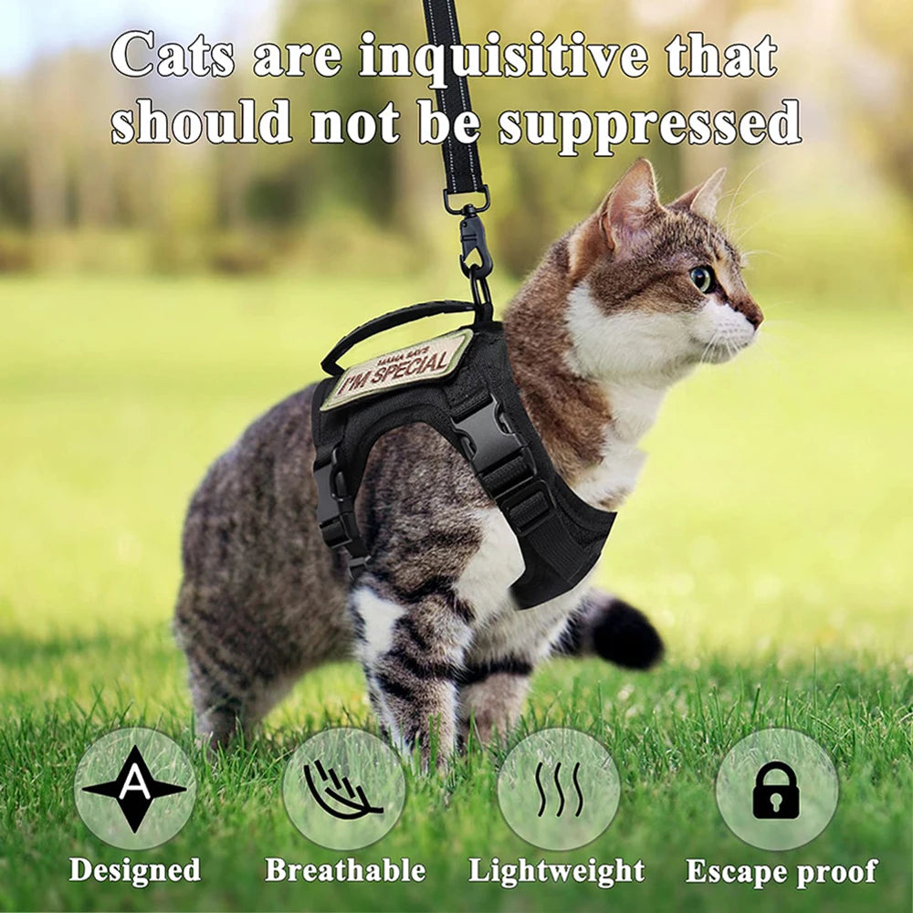 Cat Harness