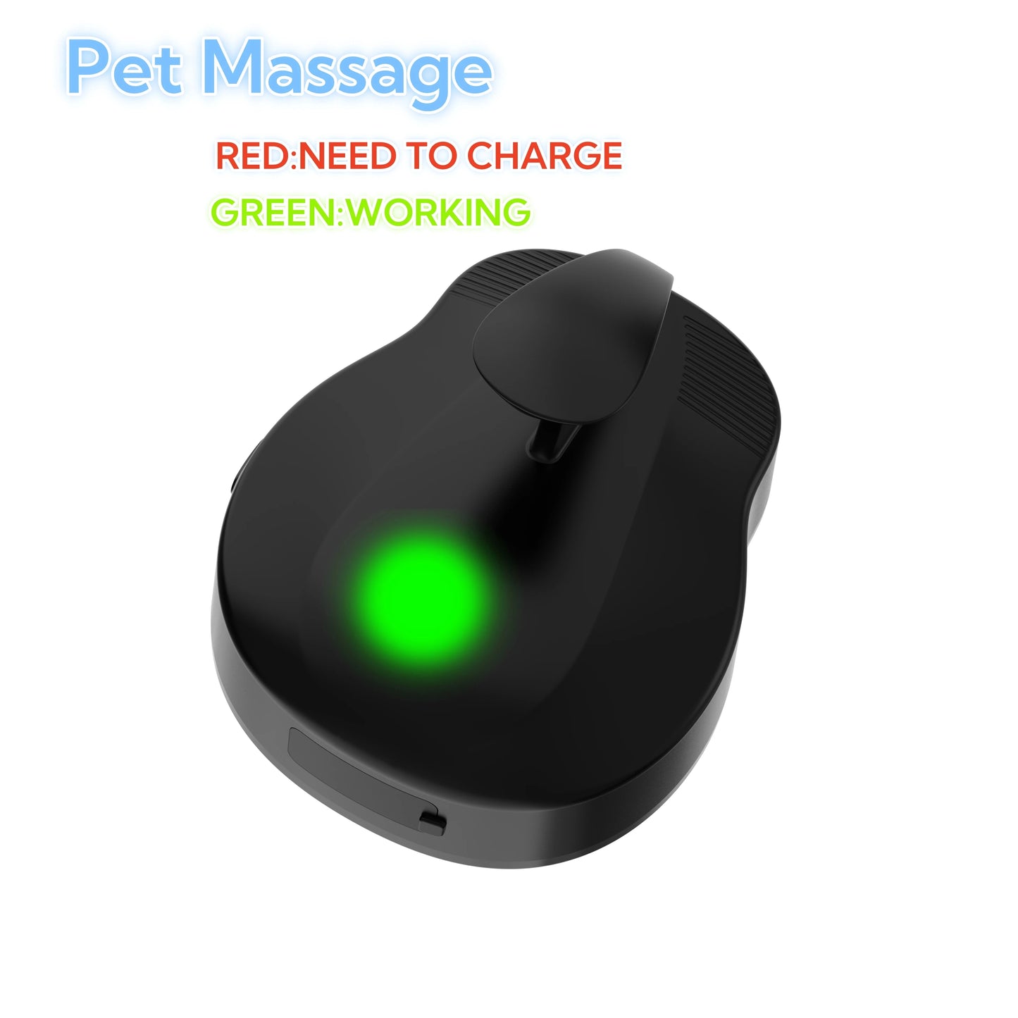 Electric Pet Massage Brush