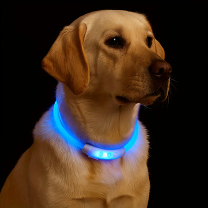LED Rechargeable Dog Collar